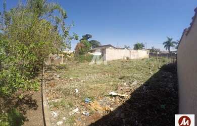 Imagem: O depósito possui 960m² de Área e está localizado em Vila