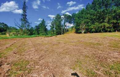 Imagem 7: Lote/Terreno para venda com 600 metros quadrados em Jardim Paineiras -...