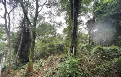 Imagem 3: Lote/Terreno para venda tem 5000 metros quadrados em Freguesia Jacarepaguá...