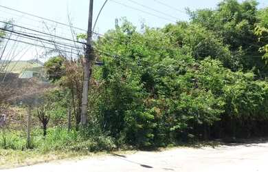 Imagem 6: Lote/Terreno para venda em Campo Grande possui 496 metros quadrados