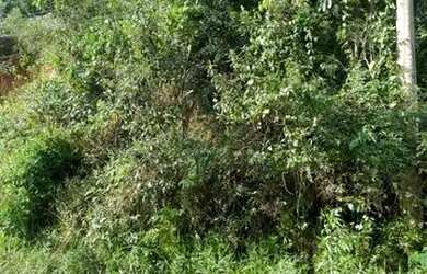 Imagem 3: terreno em itatiba. 500m² de Área