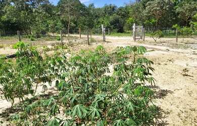 Imagem 13: Serra da mesa niquêlandia