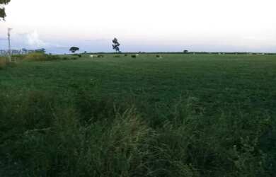 Imagem 4: FAZENDA PRODUTIVA COM 472HECTARES, HA 55KM DE UNAI