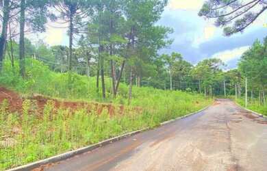 Imagem 3: Terreno - Bairro Dutra. 450m² de Área