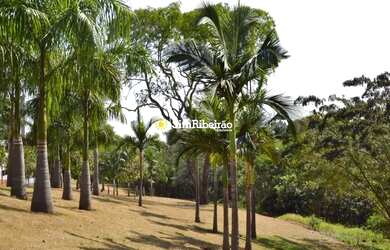 Imagem 13: Casa a venda no Bela Vista. Bairro Jardim Olhos D'água