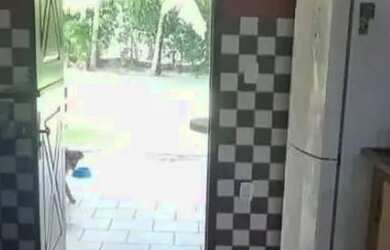 Imagem 15: CASA SOLTA, PERTO DO RIO, PERTO DO MAR