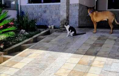 Imagem: A casa à venda possui 2 Dormitórios, 2 Banheiros, 1 Vaga na