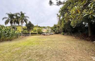 Imagem 12: Propriedade Rural com produção de Uvas e uma casa de Mista