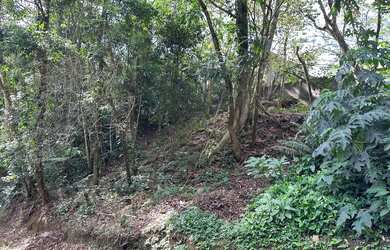 Imagem: O terreno possui 500m² de Área e está localizado em Quarta