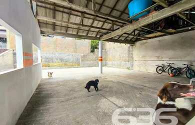 Imagem: O depósito possui 300m² de Área, Imóvel novo e está localizado