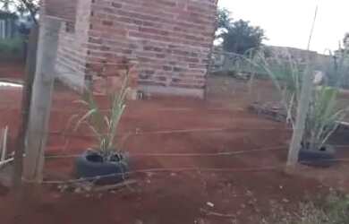 Imagem: A casa possui 2 Dormitórios, 1 Banheiro e está localizado