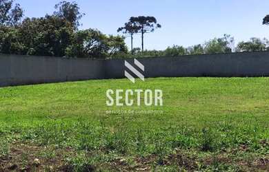 Imagem 3: Terreno à venda em Colônia Murici - São José dos Pinhais