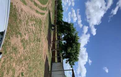 Imagem 12: Fazenda/Sítio/Chácara para venda FAZENDA BELO VALE 105 hectares Casa...