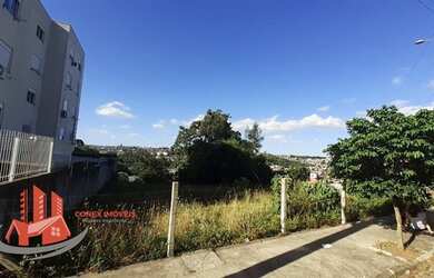 Imagem 10: CAXIAS DO SUL - Terreno Padrão - Nossa Senhora das Graças