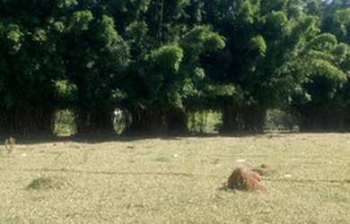 Imagem 5: terrenos a venda em Atibaia