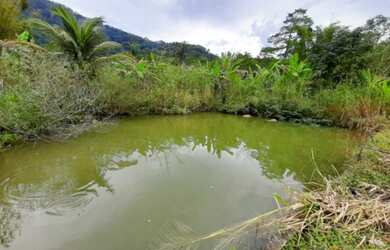 Imagem 8: sítio em Colatina. Varanda