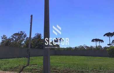 Imagem 7: Terreno à venda em Colônia Murici - São José dos Pinhais