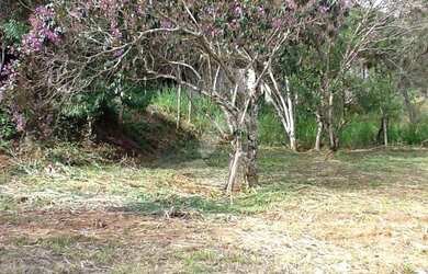 Imagem 5: Terreno à venda, 360 m² por R$ 110.000,00 - Rio do Ouro - São Gonçalo/RJ