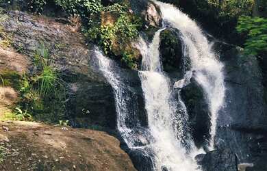 Imagem 2: Lote/Terreno para venda com 600 metros quadrados em Jardim Paineiras -...