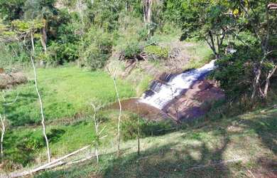 Imagem 3: Lote/Terreno para venda com 600 metros quadrados em Jardim Paineiras -...