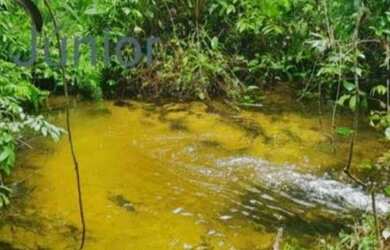 Imagem: A fazenda à venda possui 100m² de Área e está localizado