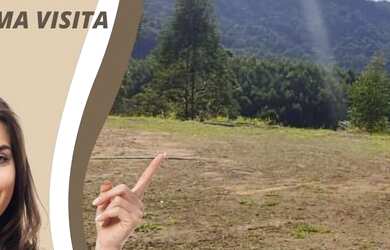 Imagem 5: Lote/Terreno para venda com 20000 metros quadrados em Jardim Bela Vista...