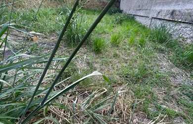 Imagem 9: Lote a Venda Santa Rosa. 360m² de Área