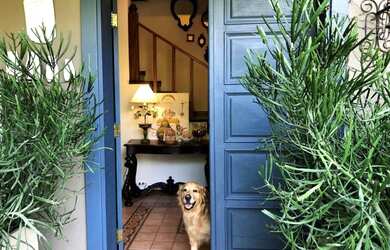 Imagem 3: CARAPICUÍBA - Casa de Condomínio - CARAPICUIBA