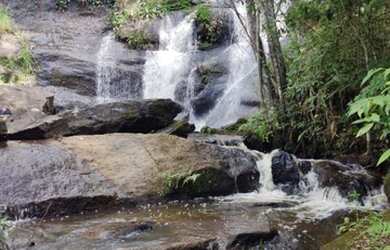 Imagem 13: Lote/Terreno para venda com 600 metros quadrados em Jardim Santa Maria...