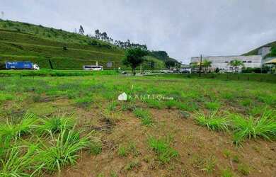 Imagem 4: Terreno à venda, 5000 m² por R$ 3.500.000,00 - Matias Barbosa - Matias Barbosa/MG