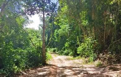 Imagem: A chácara possui 4.000m² de Área e está localizado em Grã