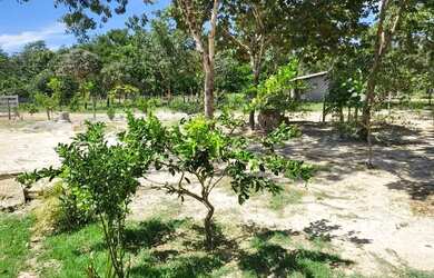 Imagem 16: Serra da mesa niquêlandia