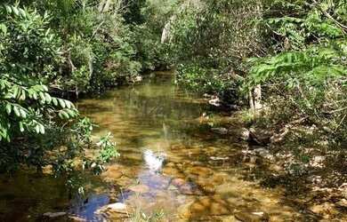 Imagem 10: Fazenda de compensação de Carbono ou reserva legal em Itacambira MG,...