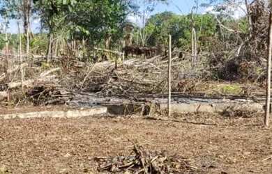 Imagem 6: Terreno em nova olinda do norte