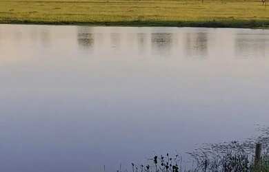 Imagem: O terreno possui 100m² de Área, Imóvel novo e está localizado