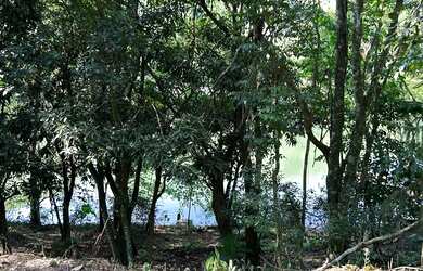 Imagem: A chácara possui 5.800m² de Área e está localizado em 14