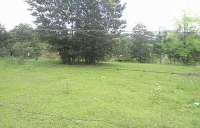 Imagem: Terreno Salgado Filho Caxias do Sul