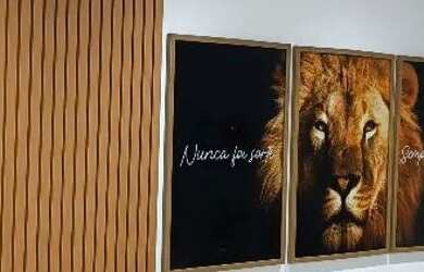 Imagem 11: Cobertura linear Vicente Pires