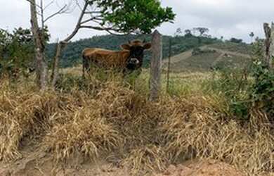 Imagem 7: E03-Terrenos próximo á Santa Branca