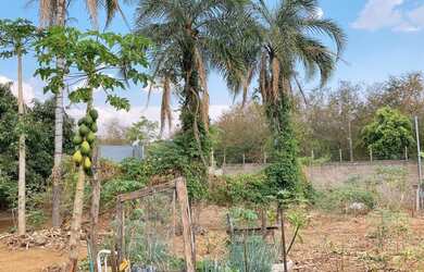 Imagem 3: Terreno à venda, 869 m² por R$ 235.000,00 - Jardim Maracanã - Uberaba/MG