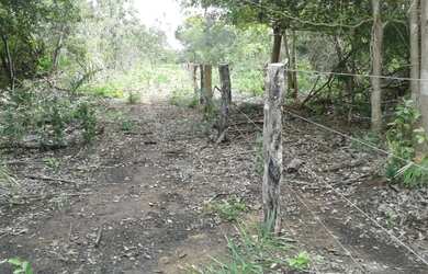 Imagem 10: Tenho um Ótimo Terreno de 18500 mts.no Lago do Peixe TO
