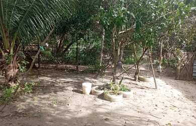 Imagem: O terreno está localizado em Cohatrac I, São Luís à venda