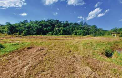 Imagem 16: Lote/Terreno para venda com 600 metros quadrados em Jardim Paineiras -...