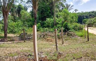 Imagem 1: Vende se este lote de terra