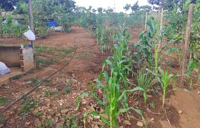 Imagem 10: Cháchara Jardim são José