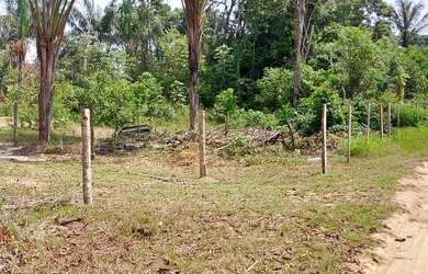 Imagem 4: Vende se este lote de terra