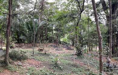 Imagem: O terreno possui 5000m² de Área e está localizado em Freguesia