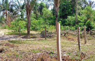 Imagem 3: Vende se este lote de terra