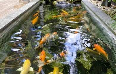 Imagem 3: Galpão/Depósito/Armazém para aluguel possui 2800 metros quadrados em...