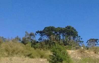 Imagem: O terreno possui 300m² de Área e está localizado em Santa